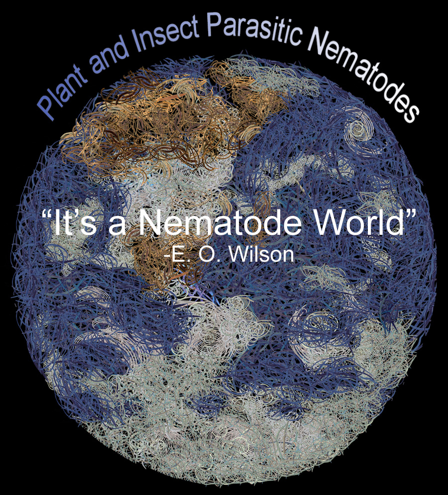 Plant and Insect Parasitic Nematodes