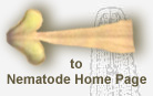 Link to Plant and Insect Parasitic Nematode Home page