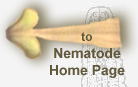 Nematode homepage