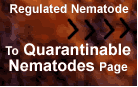 Quarantinable nematodes homepage