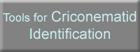 Tools for Criconematid Identification