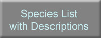 Specimen lists and Descriptions