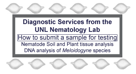 Diagnostic Services- submitting samples