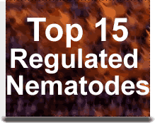 Top 15 Regulated Nematodes
